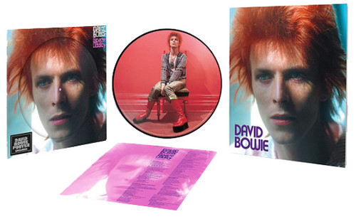 David Bowie Space Oddity LP (Picture Disc) 1