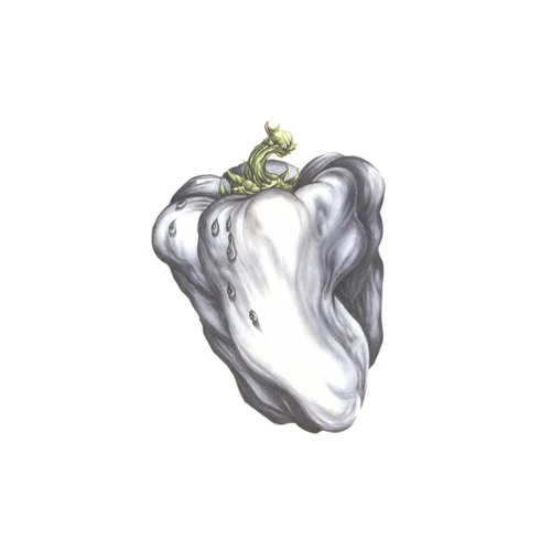 Ween White Pepper LP (Green Pepper Vinyl) 2