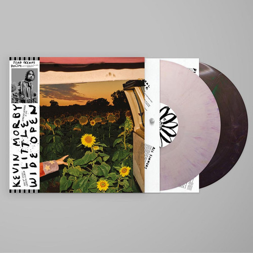 Kevin Morby Little Wide Open 2LP (Eco-Mix Color Vinyl) 2