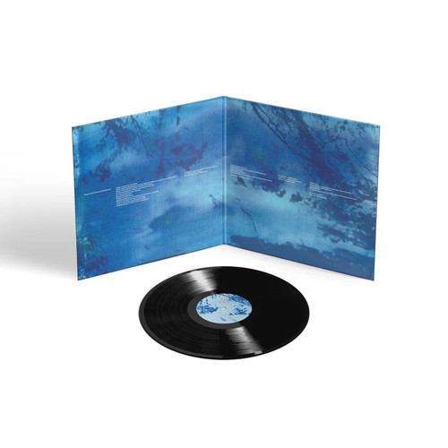 Ed O'Brien Blue Morpho LP 3