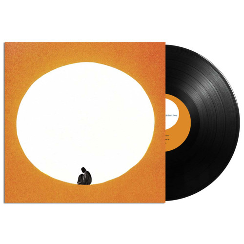 Death Cab for Cutie I Built You a Tower LP 2