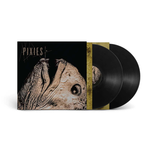 Pixies Complete B Sides 2LP