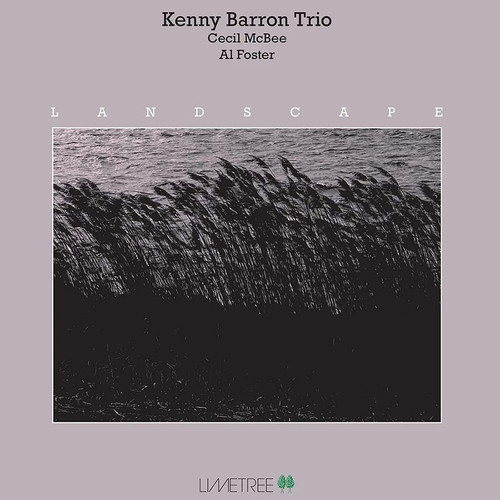 Kenny Barron Trio Landscape 180g Import LP 1