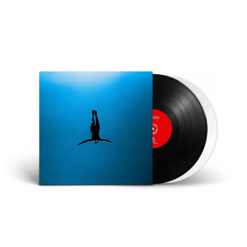 Telescreens Why the Lights Flicker 2LP (Black & White Vinyl) 2