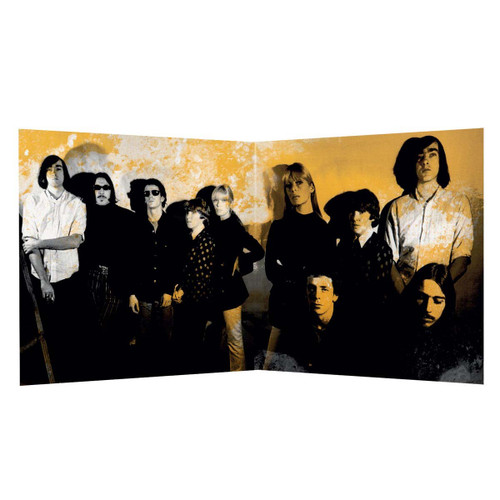 The Velvet Underground Collected Numbered Limited Edition 180g Import 2LP (Translucent Green Vinyl) 3
