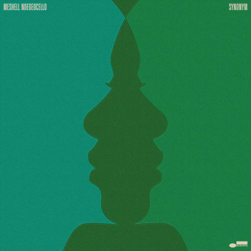 Meshell Ndegeocello Synonym 2LP 1