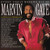 Marvin Gaye Every Great Motown Hit Of Marvin Gaye: 15 Spectacular Performances LP