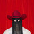 Orville Peck Pony LP