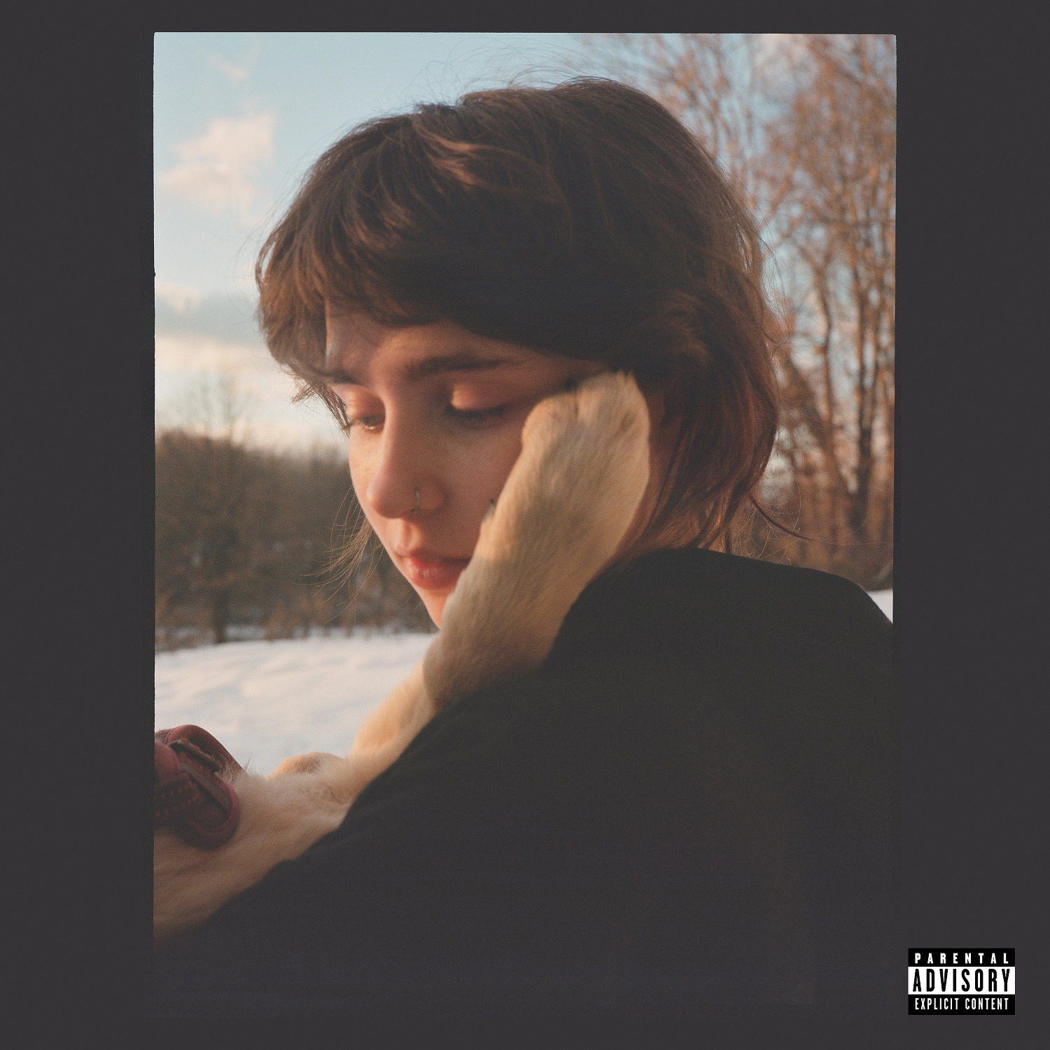 Clairo Sling LP レコード/入手困難 16fadlp86049__23144.1778385042