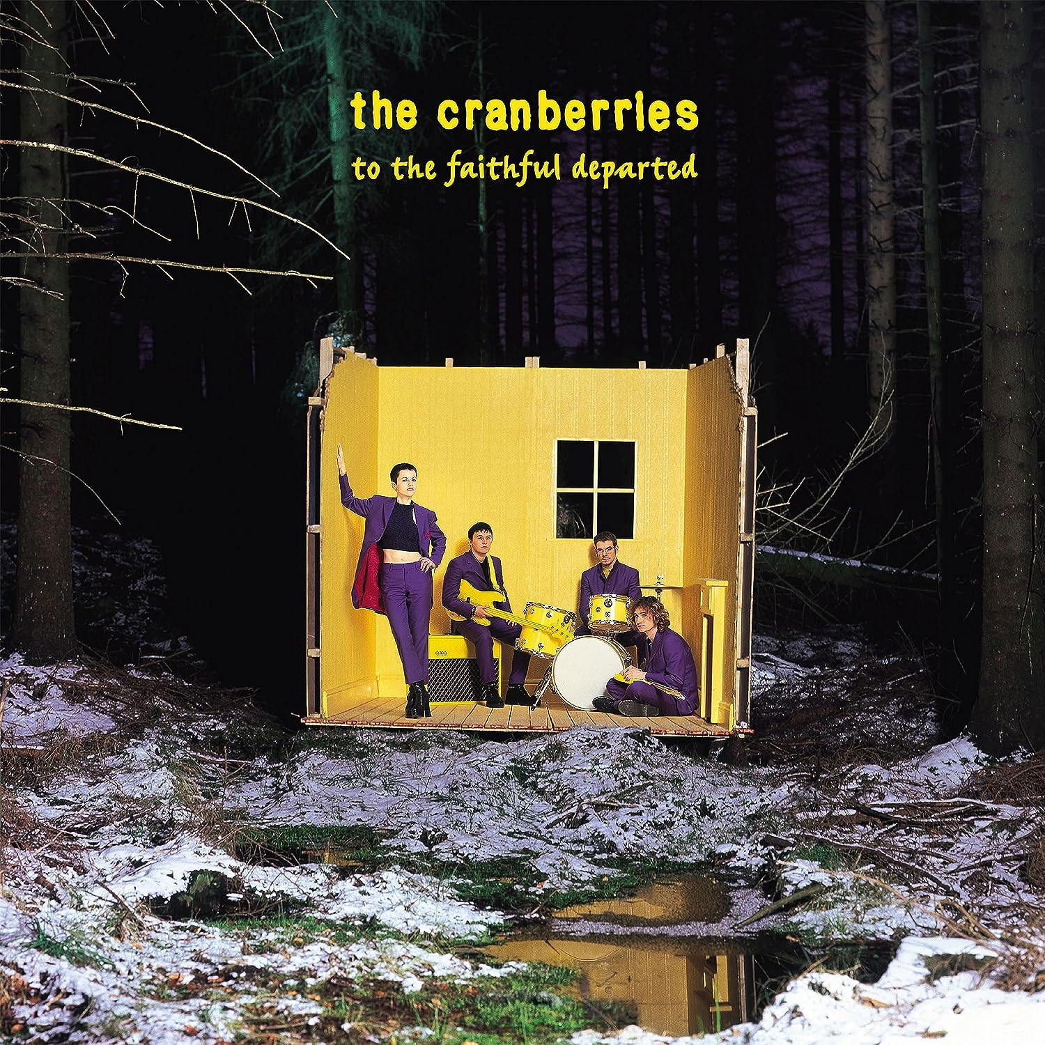 ★ The Cranberries レコード LP The Cranberries MTV Unplugged Limited Edition Color LP - The