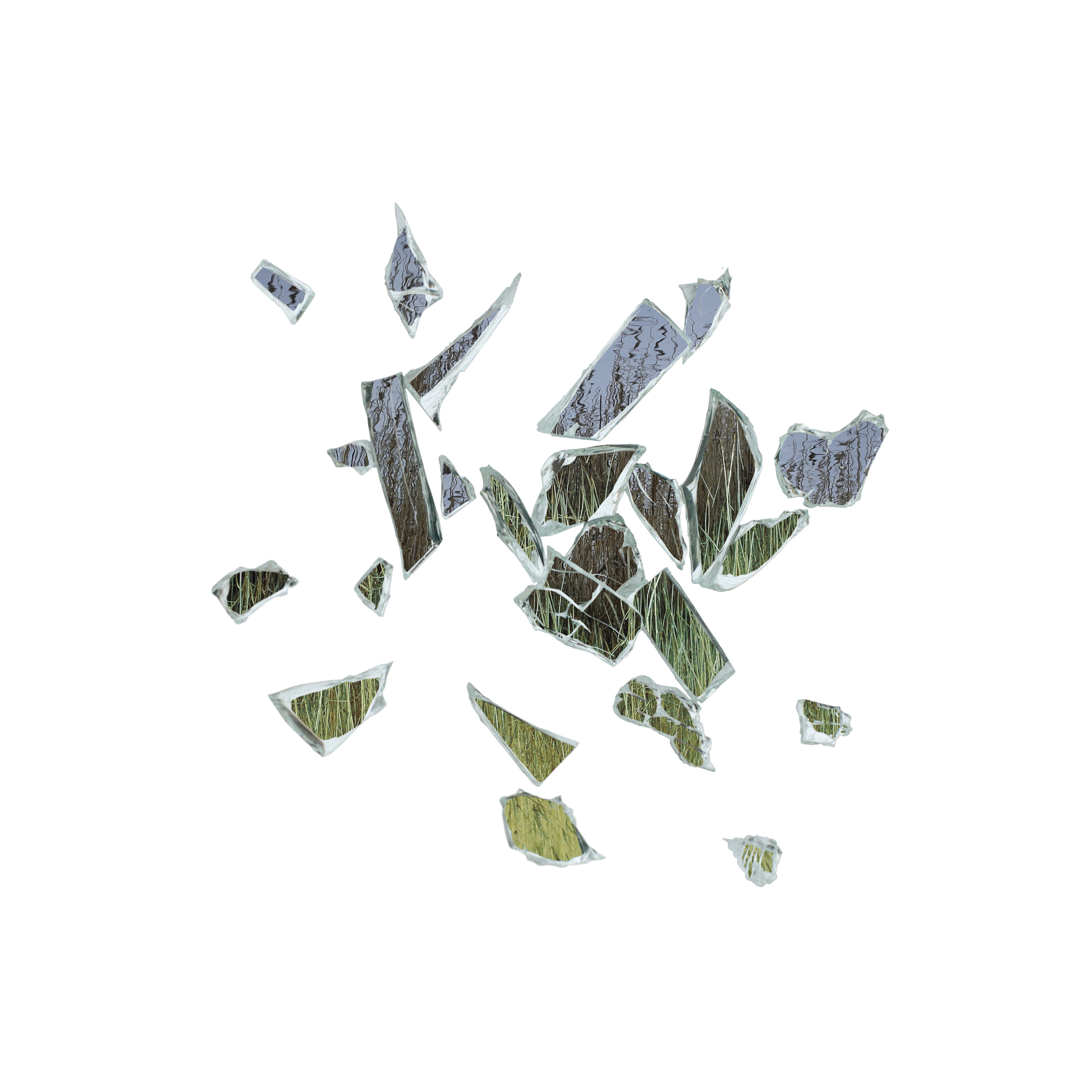 These New Puritans Field of Reeds 2LP