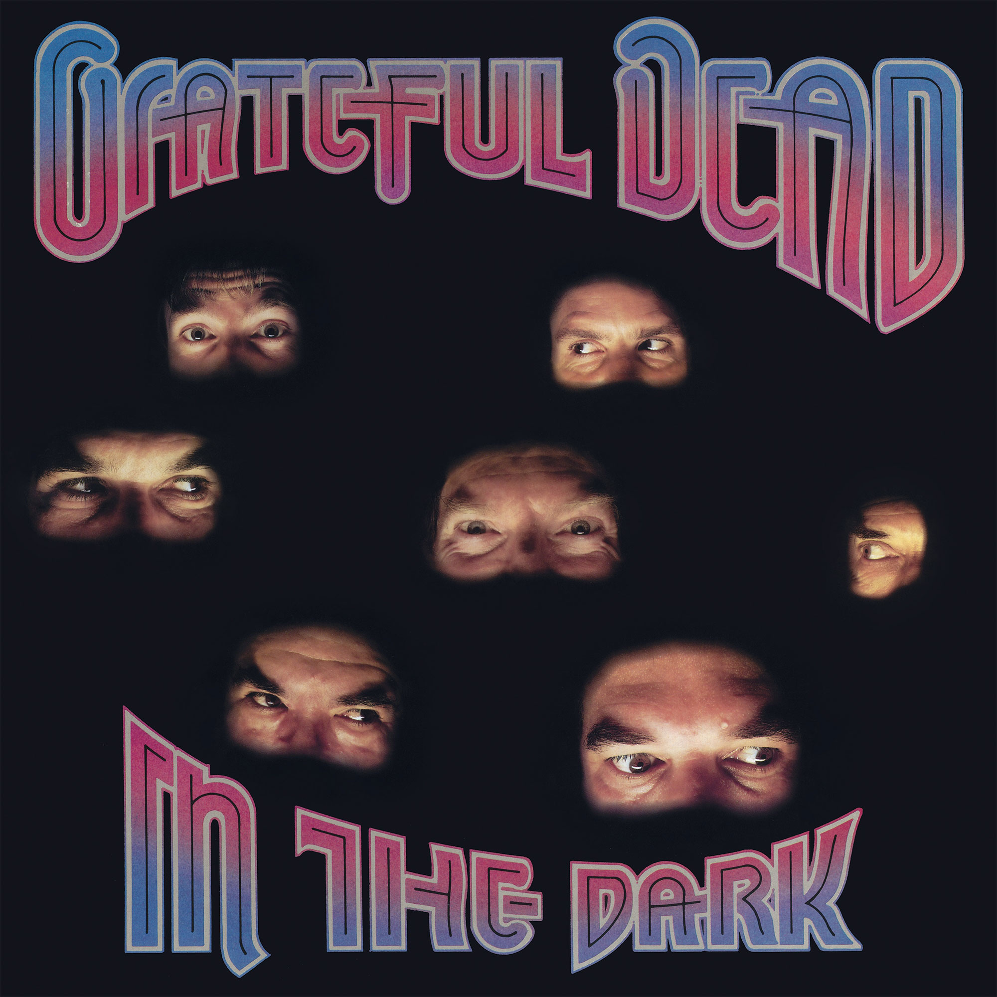 Grateful Dead In the Dark LP