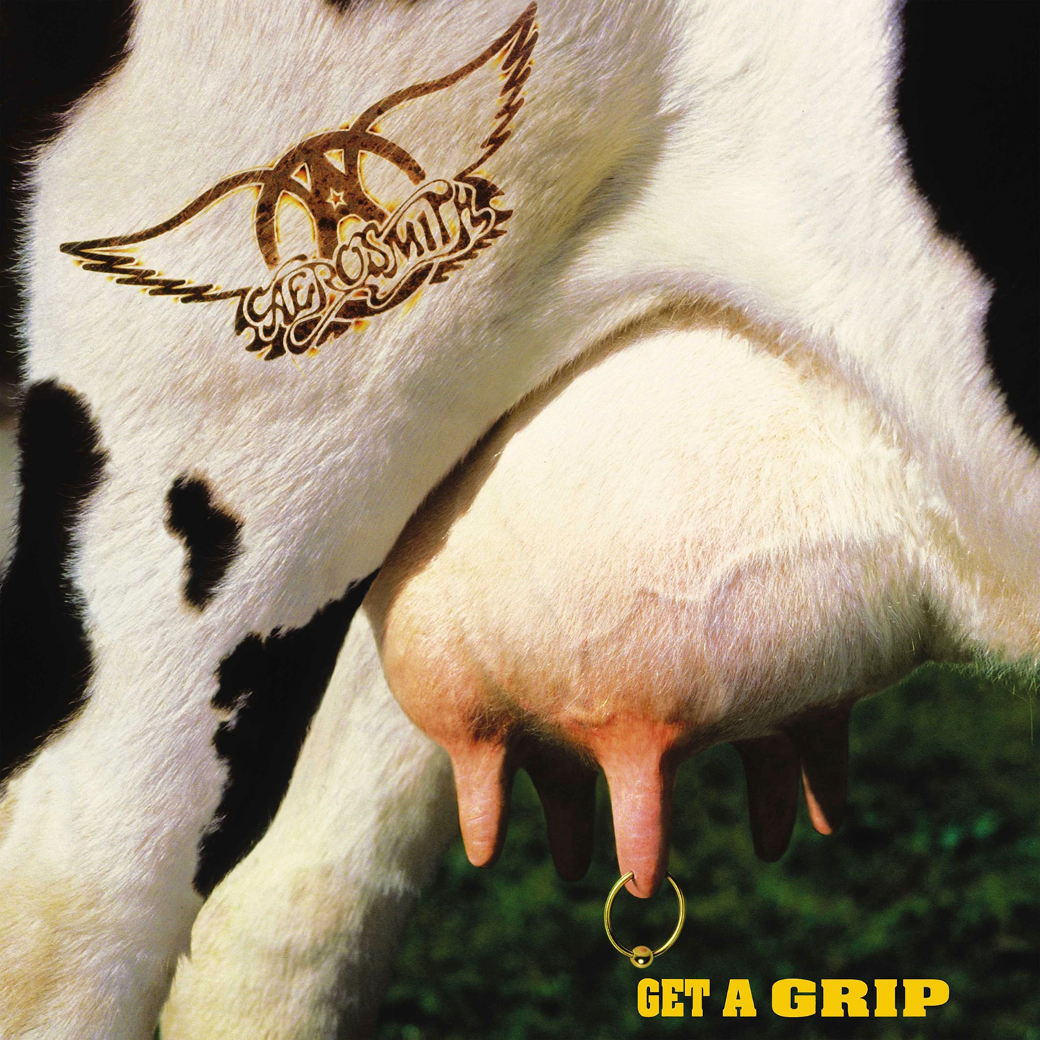 【EUオリジナル】新品未開封 AEROSMITH GET A GRIPレコード Aerosmith Get a Grip 2LP (Black & White Split Vinyl)