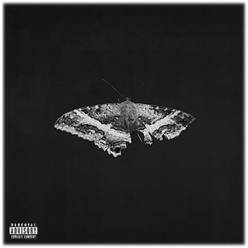Kendrick Lamar / Pimp Butterfly /USオリジナル Amazon.com: To Pimp A Butterfly: Sports & Outdoors