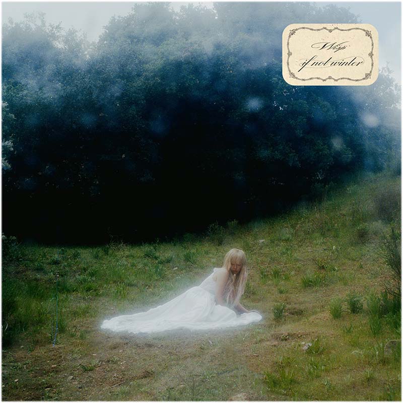 Wisp If Not Winter 限定版 LP レコード　レア 希少 Wisp If Not Winter LP