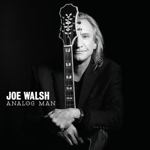 Joe Walsh Analog Man 180g LP