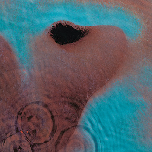 英LP Pink Floyd Meddle UKオリジナル盤初期プレス ステレオ Pink Floyd Meddle 180g LP