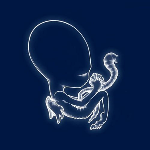 Ágætis Byrjun - Sigur Rós 2LP Sigur Ros Agaetis Byrjun 2LP