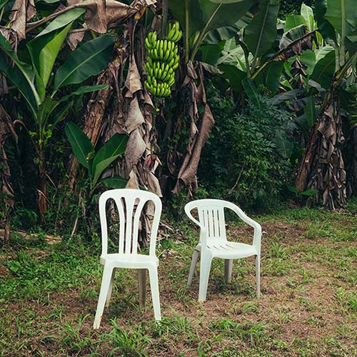 Bad Bunny Debi Tirar Mas Fotos 2LP (Opaque White Vinyl)