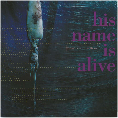 【UK Orig. LP】☆激レア入手困難☆ HIS NAME IS ALIVE His Name Is Alive Home Is in Your Head LP