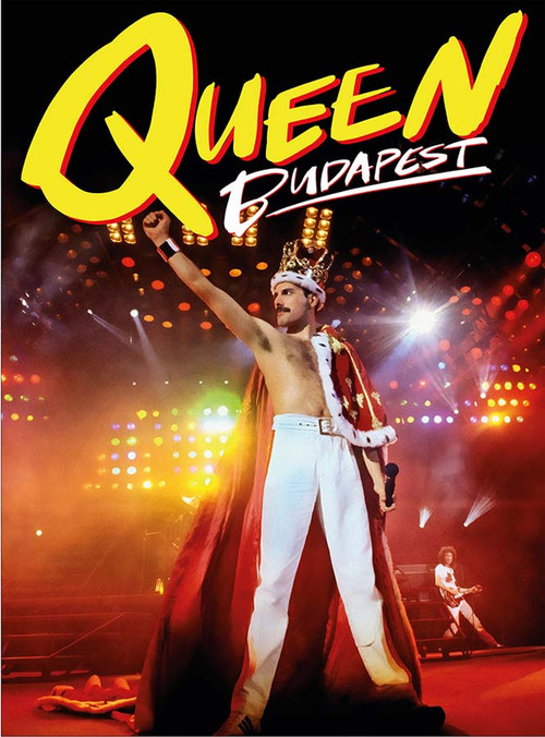 Toute La Musique... Best of [DVD](中古品) DVD Audio: High-Resolution Music & Visuals | Elusive Disc