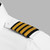 Epaulets - Black and Gold - 4 Stripe