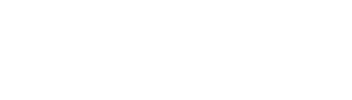 Mobilization Store
