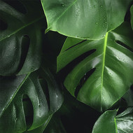 Environmental Factors That Affect Your Skin