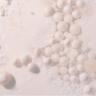 Tips for Treating Your Acne Scars