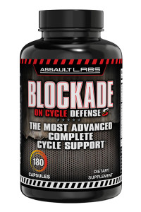 Blockade On Cycle Defense by Assault Blockade On Cycle Defense by Assault