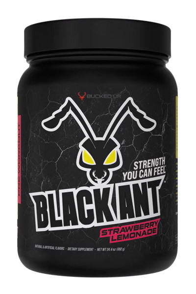 Bucked Up Black Ant