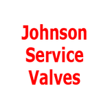 Johnson Service Valve