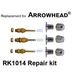 For Arrowhead RK1014 Valve Rebuild Kit