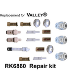 For Valley RK6860 3 Valve Rebuild Kit