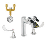 Speakman Eyesaver SEF-1801-TW Eyewash Faucet with Eyewash TMV