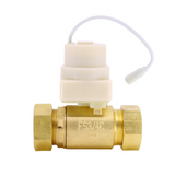 Floodstop FSAV34P Valve Only 3/4" Push-to-Connect