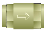 Watts Leak Defense SCV-200-NPT 2" Spring Check Valve NPT Female Threads Lead Free.