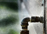 Signs That Your Pipes Are Damaged