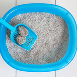 Things You Should Never Flush Down the Toilet