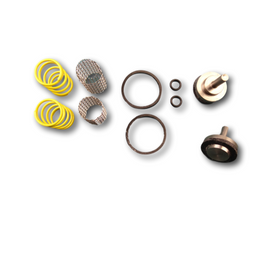 Leonard Valve Kit 2/50Y Checkstop Kit