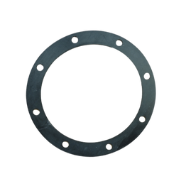 Leonard Valve 21/300 Flange Packing