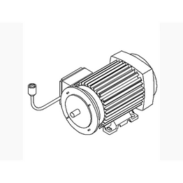 Kohler 1016954-A Motor Assy- 230v- Sok