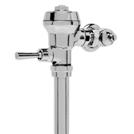 Delany F402-1.6-GJ Exposed Flushboy Valve For Water Closet (1.6 GPF)