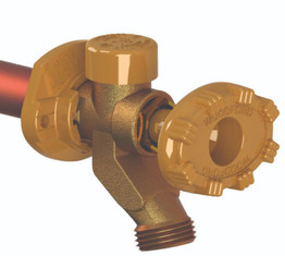 Woodford Model 19 - 4" to 24" - Freezeless Anti-Siphon Residential Wall Faucet - Powder Coated Aluminum Handle