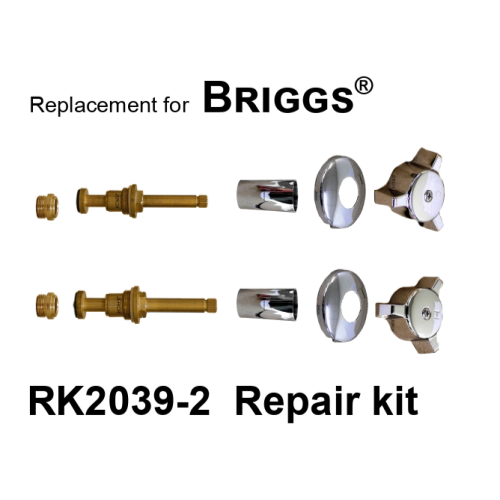 For Briggs RK2039-2 2 Valve Rebuild Kit