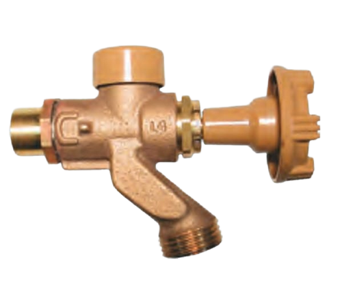 Woodford Model 101 - Anti-Siphon Wall Faucet - C Inlet
