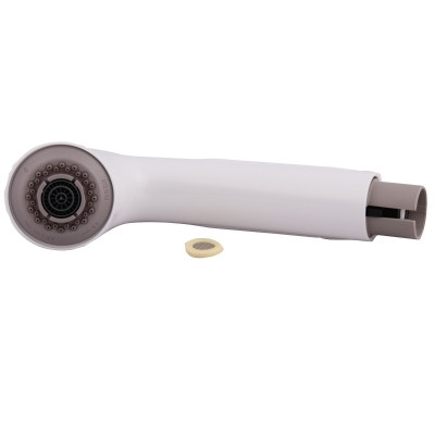 Moen 136829wg Pullout Spout Extensa Glacier