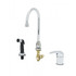 T&S Brass B-2743 Side Mount Faucet W/ Swivel Gooseneck & Side Spray