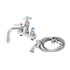 T&S Brass B-1151 Workboard Faucet With Hose Spray