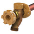 Woodford 17P-24-MH Model 17 Freezeless Anti-Siphon Wall Faucet